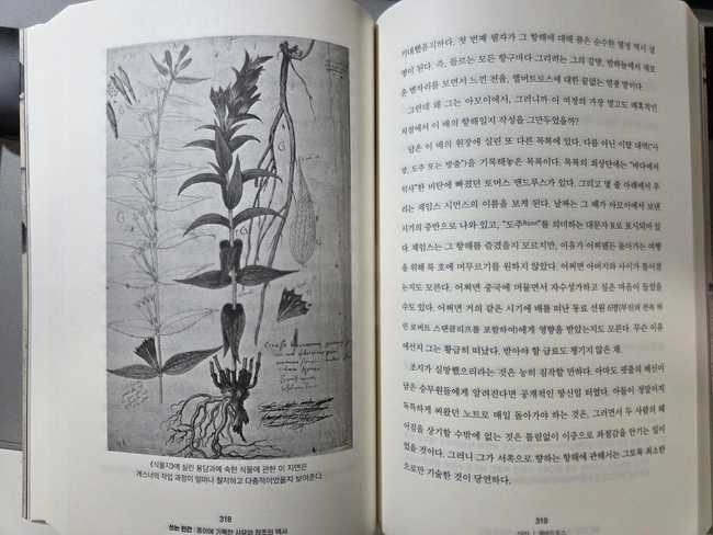 콘라트 게스너의 식물지에 실린 용담과 식물 기록